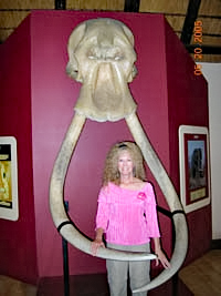 Kristal with Big Ivory Tusks